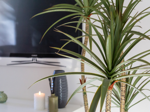 012__via_chesi_12__1