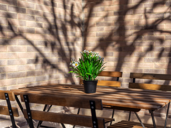 015__via_chesi_15__1